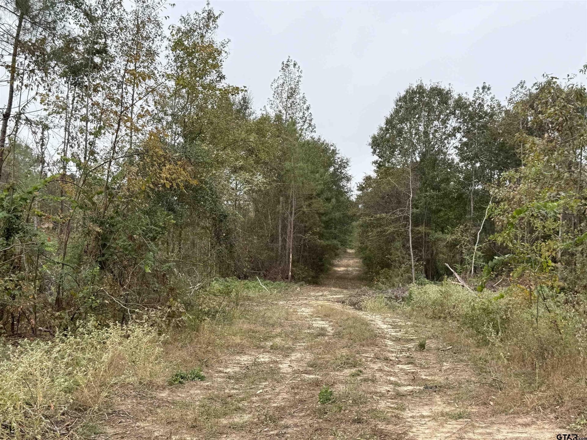 16.45 acres in Rusk County gallery image 3