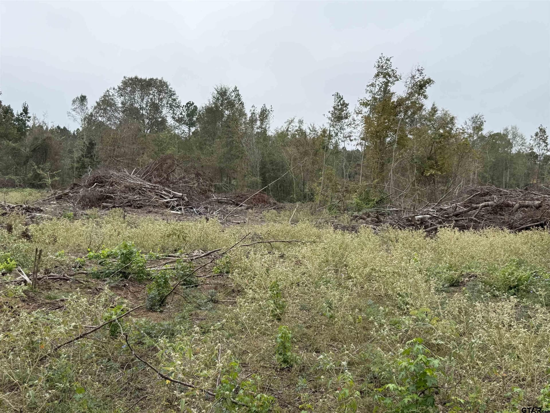 16.45 acres in Rusk County featured view