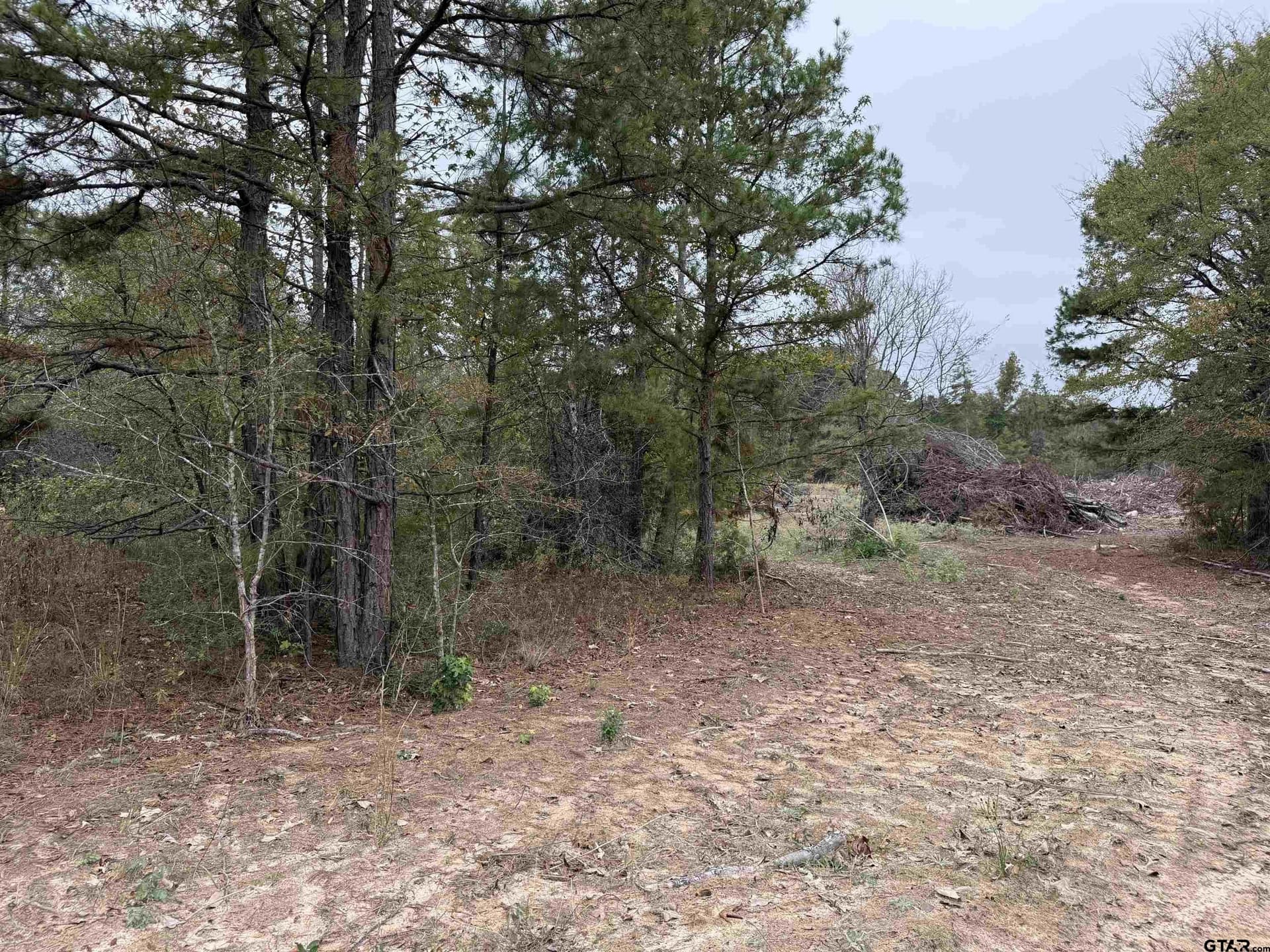 16.45 acres in Rusk County gallery image 2