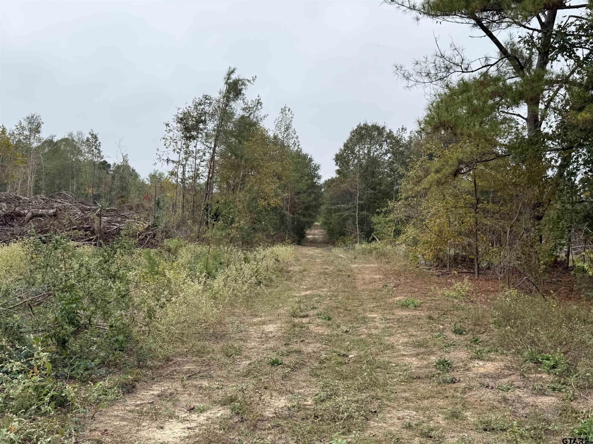 16.45 acres in Rusk County gallery image 4