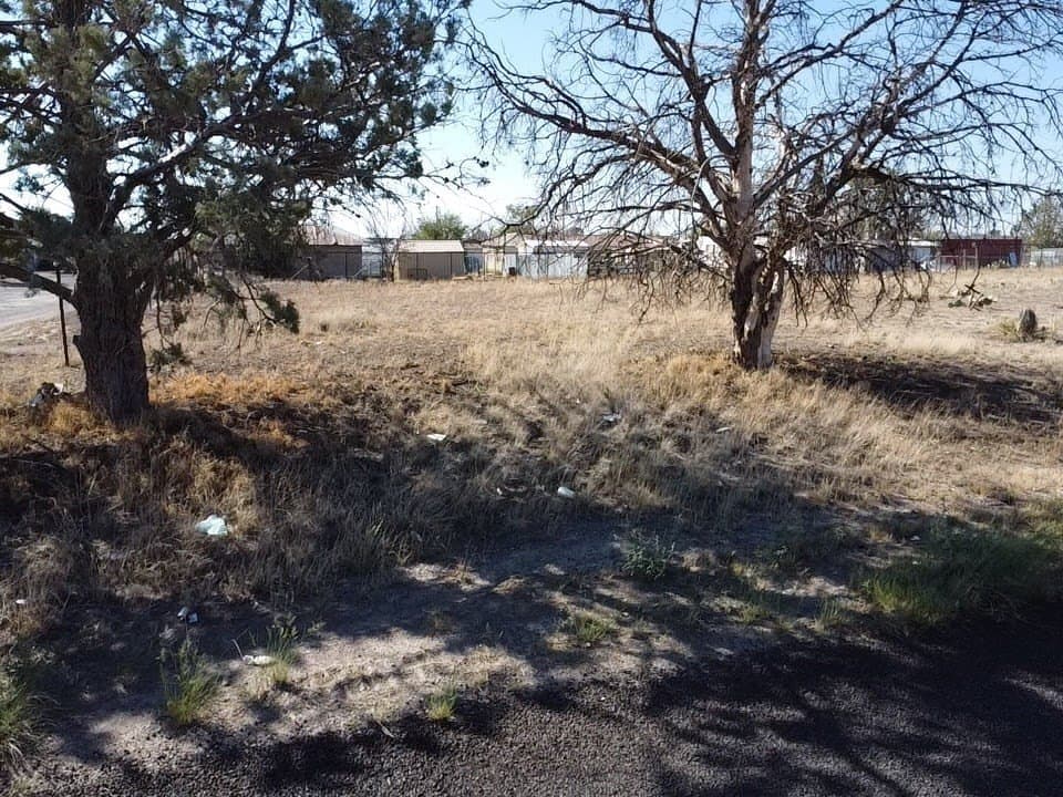 0.13 acres in Presidio County gallery image 3