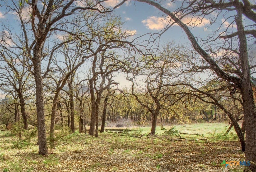 121 acres in Mills County - photo 8