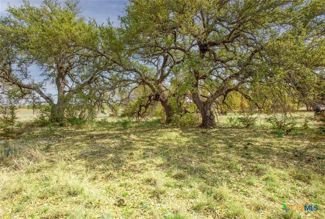 121 acres in Mills County - photo 7