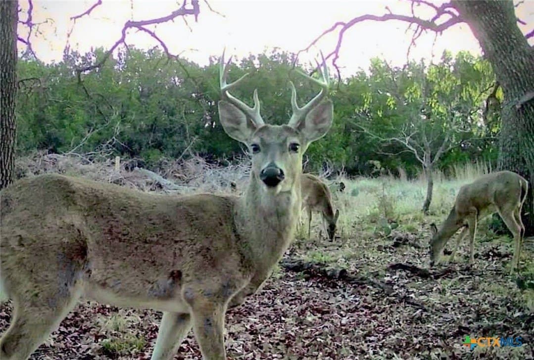 121 acres in Mills County - photo 30