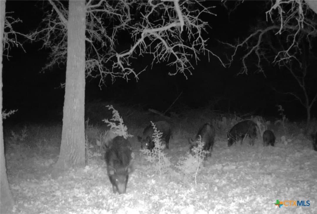 121 acres in Mills County - photo 31