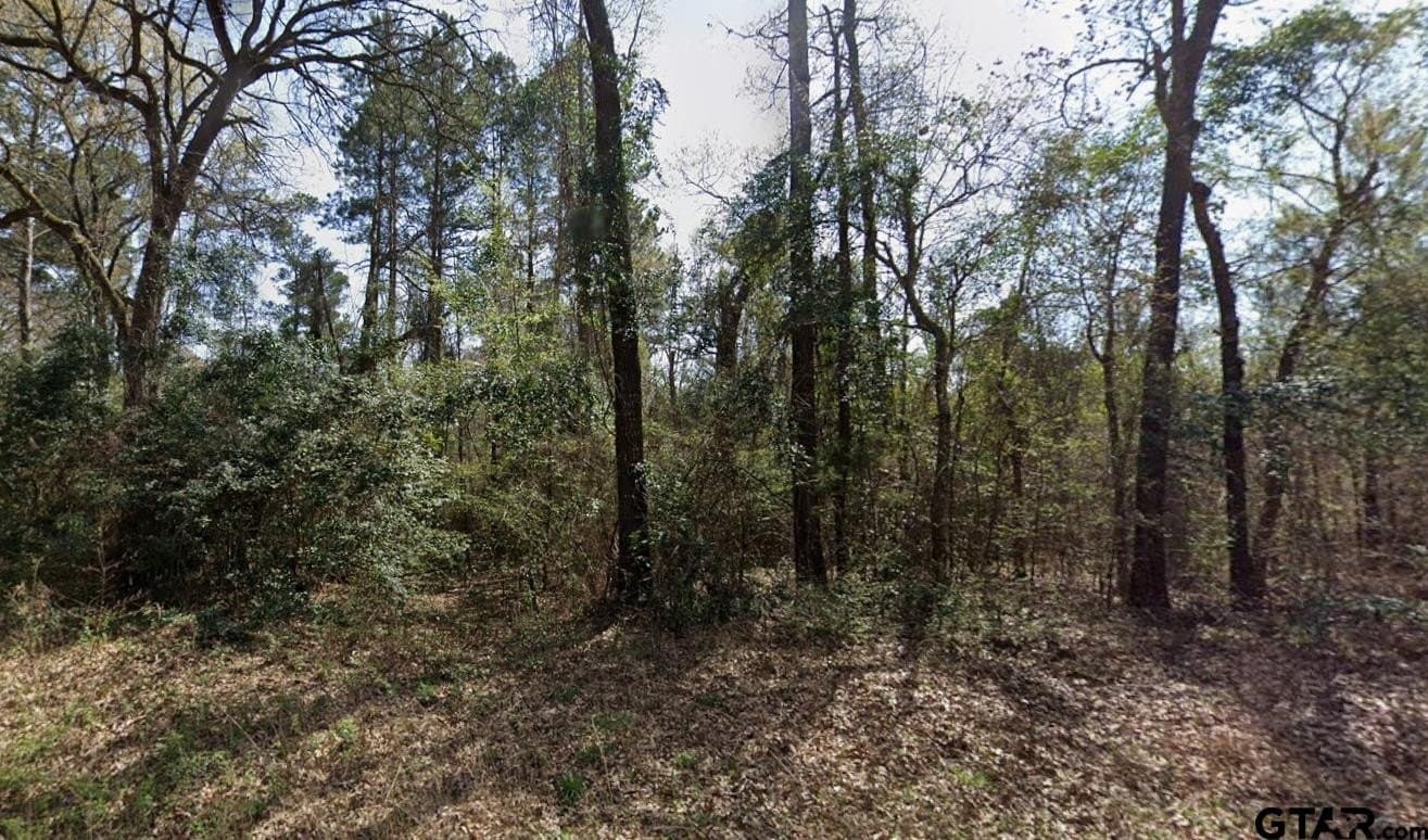 0.34 acres in Upshur County gallery image 3