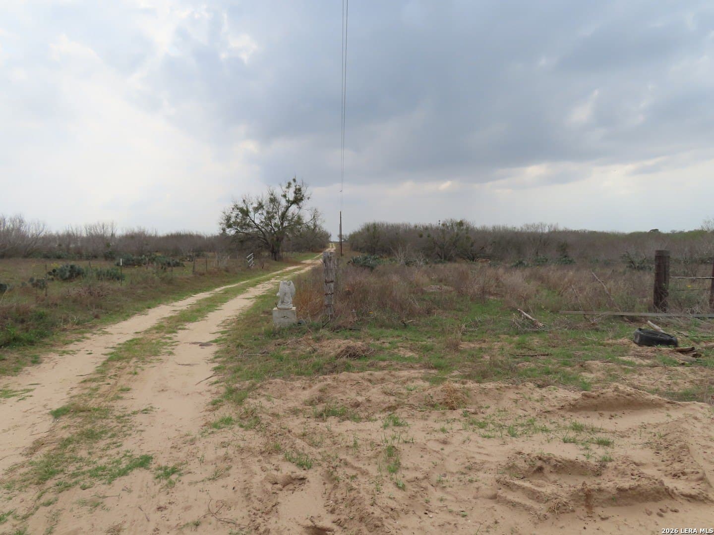 16.89 acres in Atascosa County - photo 4