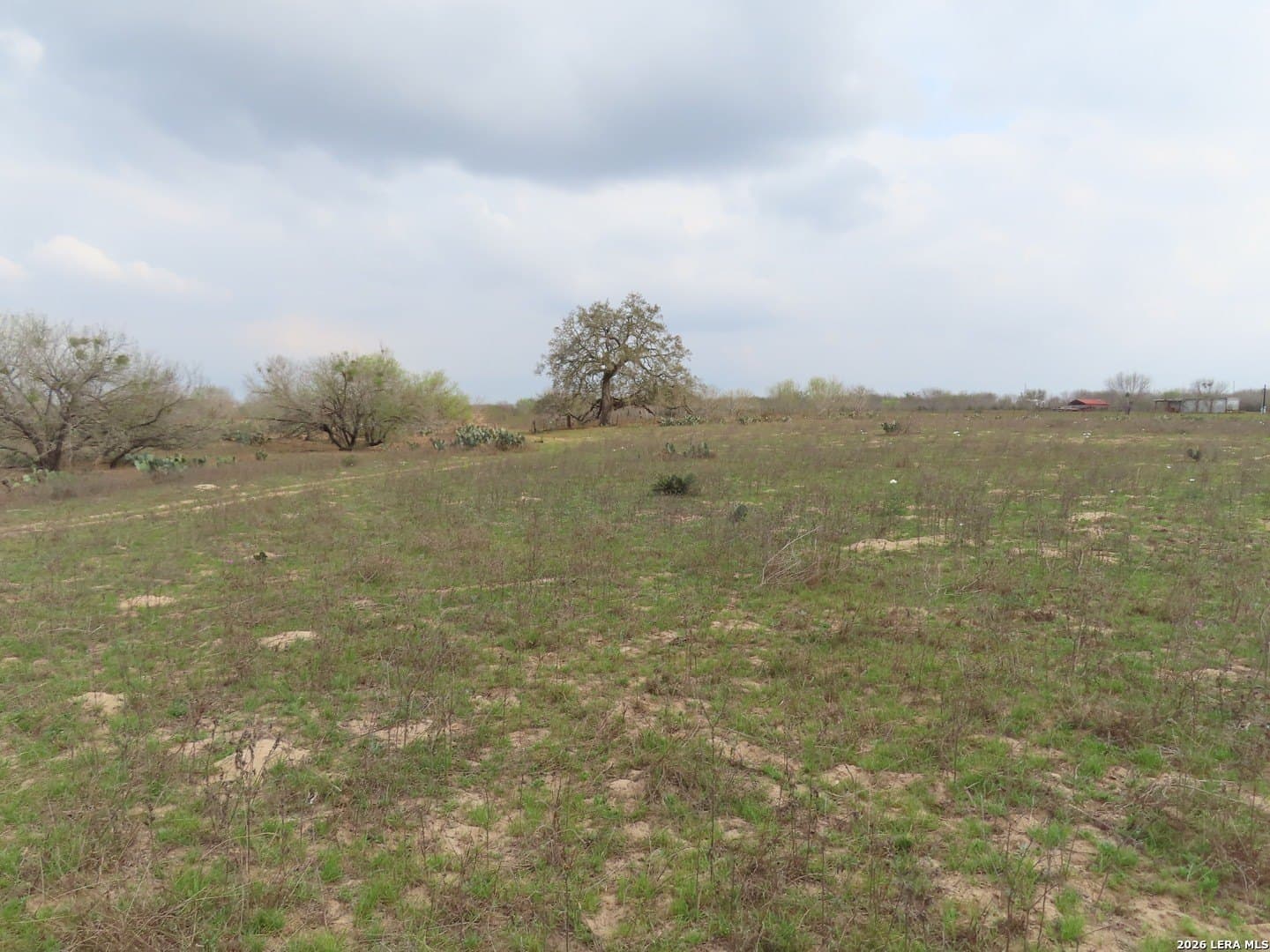 16.89 acres in Atascosa County - photo 6