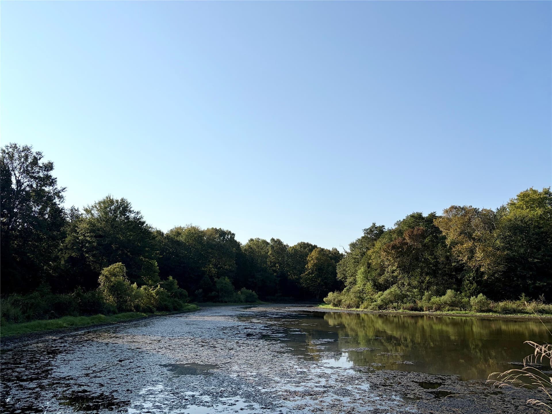 84.96 acres in Henderson County - photo 14