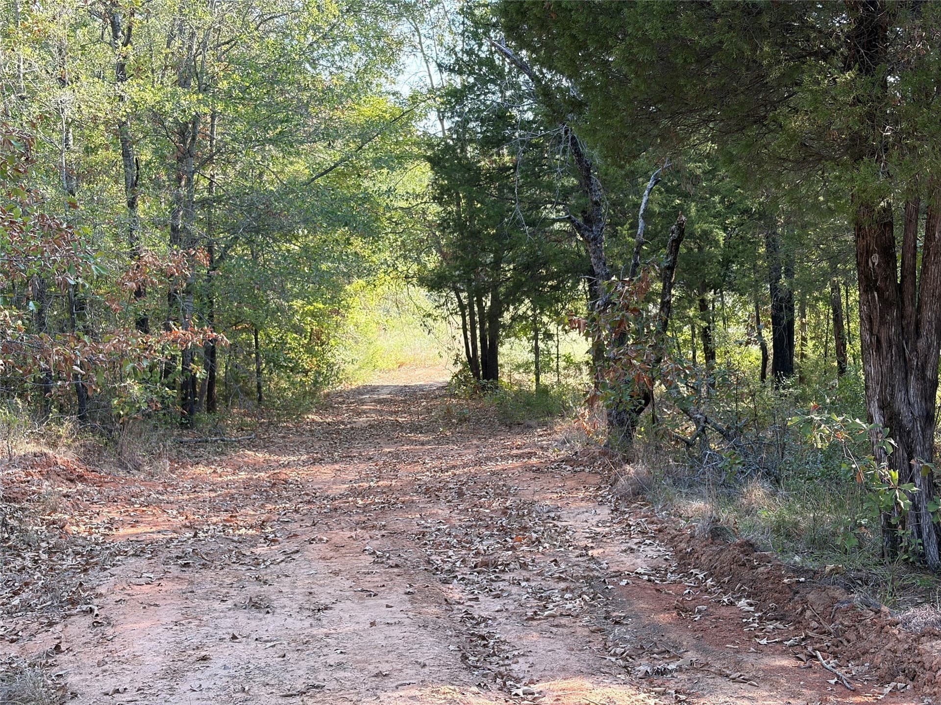 84.96 acres in Henderson County - photo 17