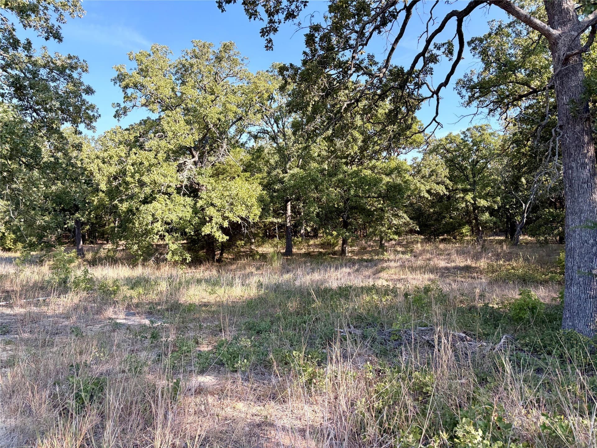 84.96 acres in Henderson County - photo 23