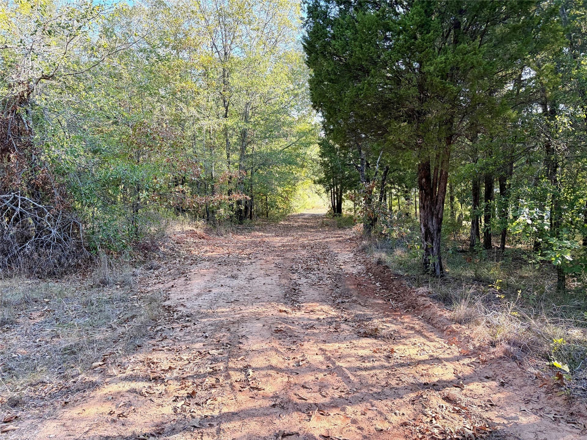 84.96 acres in Henderson County - photo 16