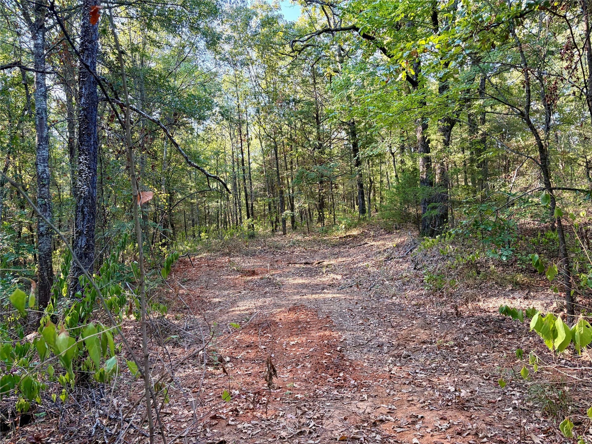 84.96 acres in Henderson County - photo 19