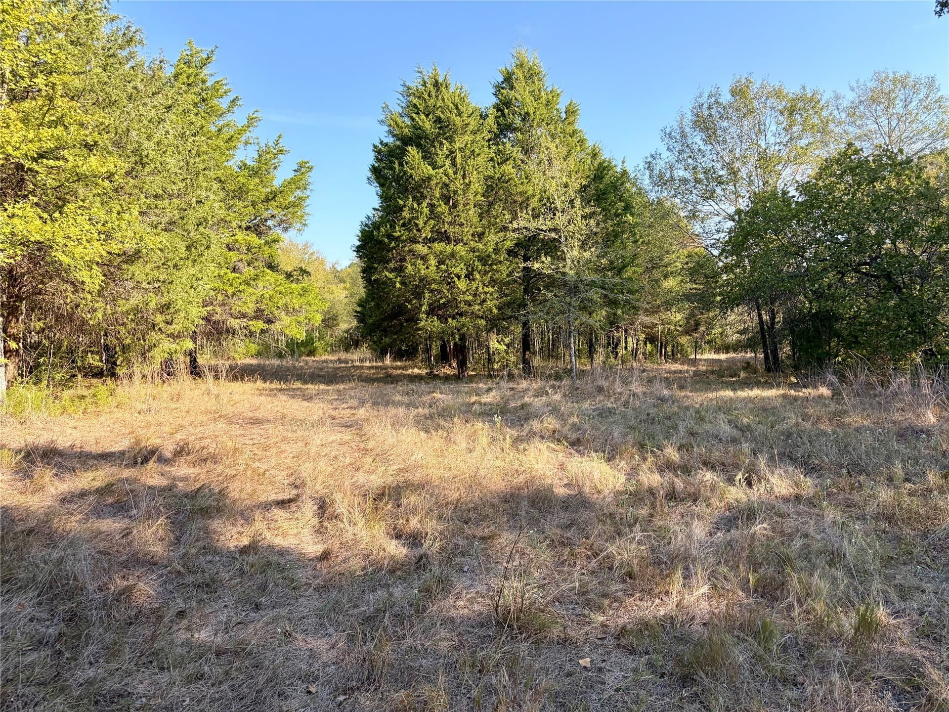 84.96 acres in Henderson County - photo 18