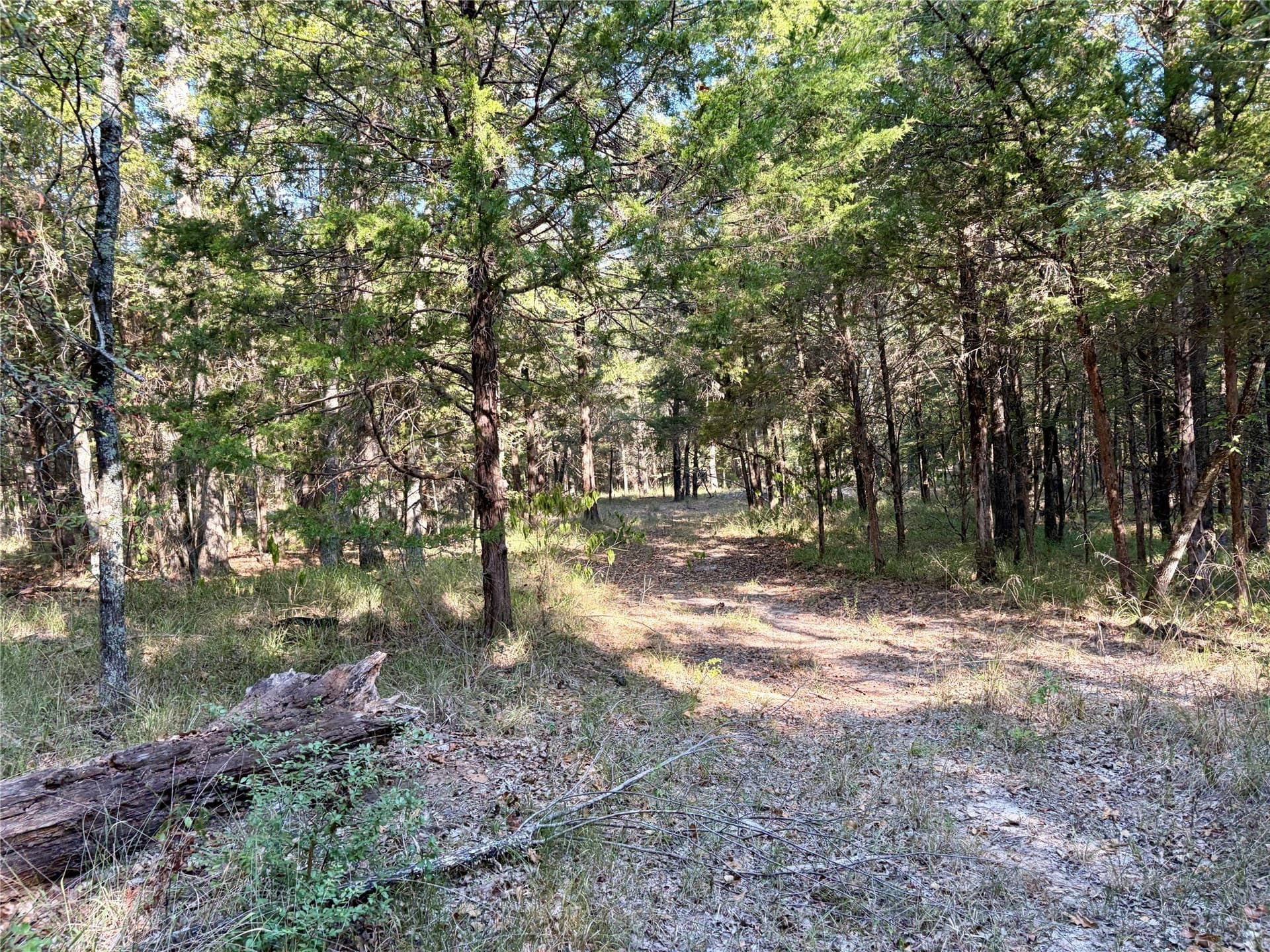 84.96 acres in Henderson County - photo 24