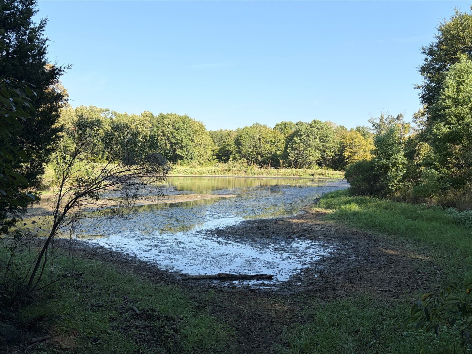 84.96 acres in Henderson County - photo 15