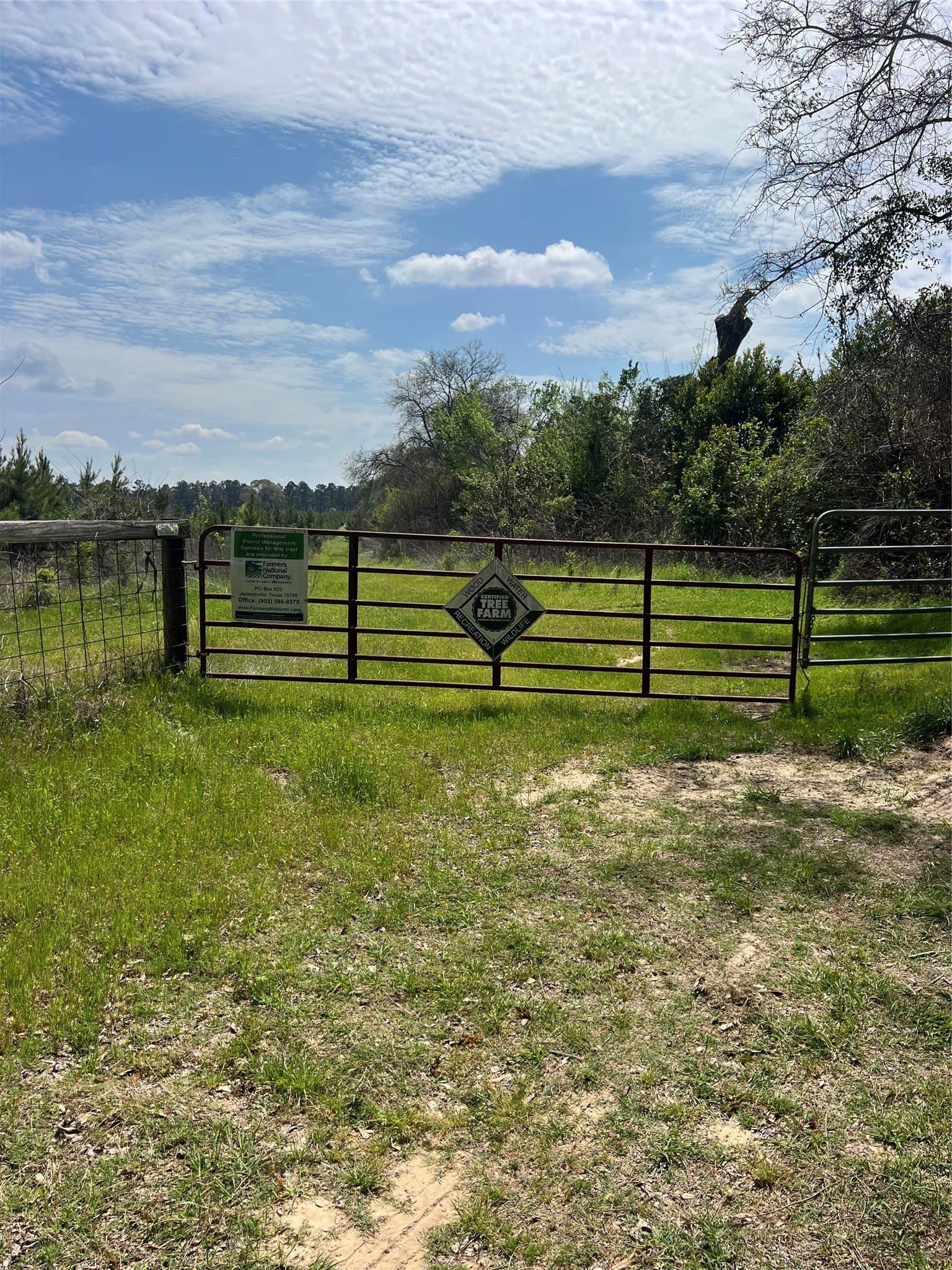 136.5 acres in Cherokee County - photo 2