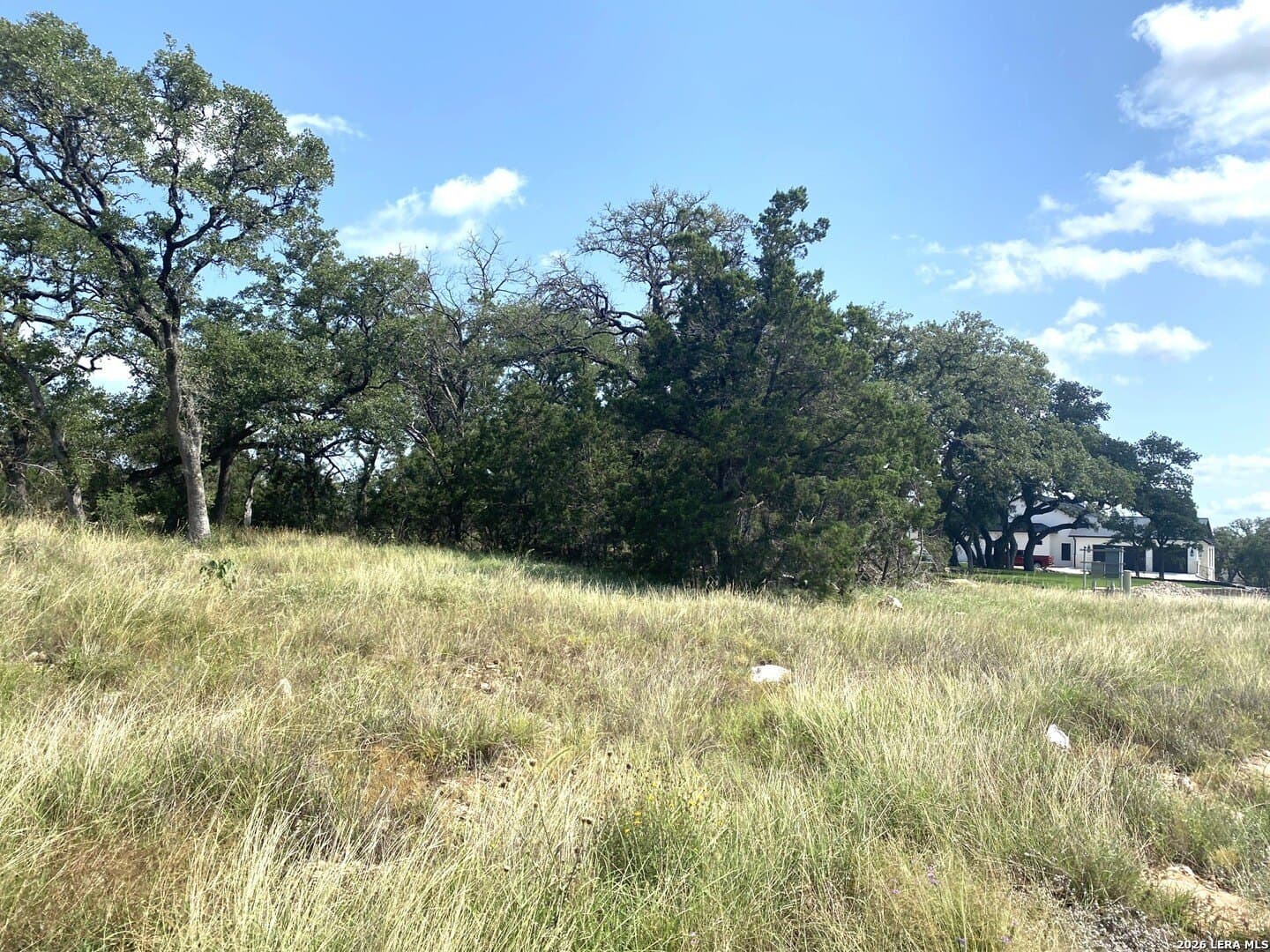 1 acres in Comal County gallery image 3