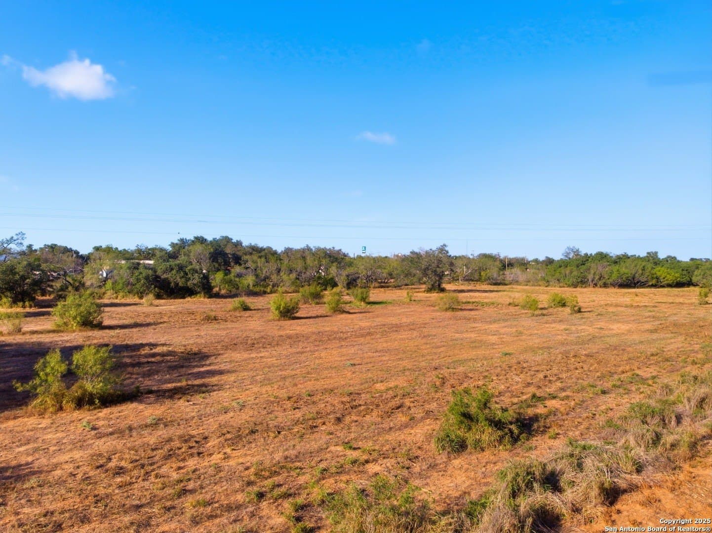 4.66 acres in Frio County gallery image 2