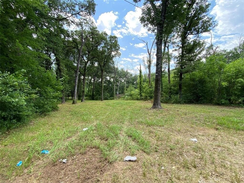 0.2 acres in Henderson County gallery image 2