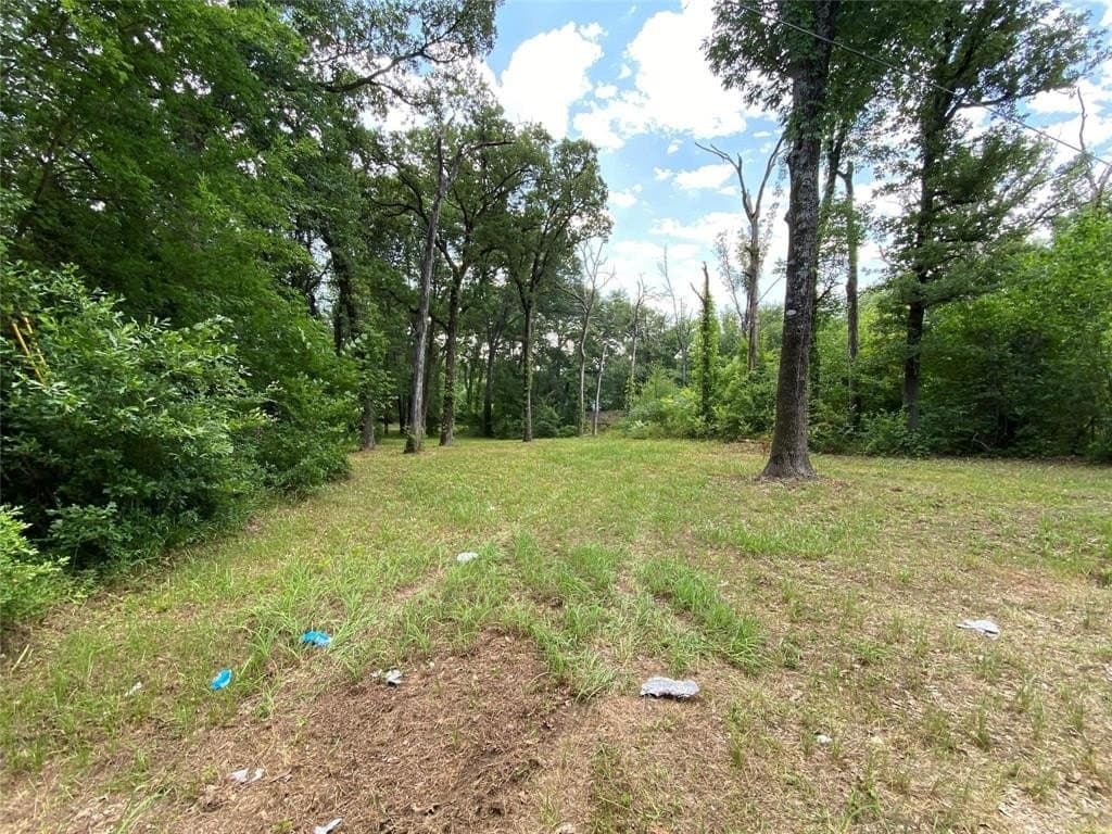 0.2 acres in Henderson County gallery image 3