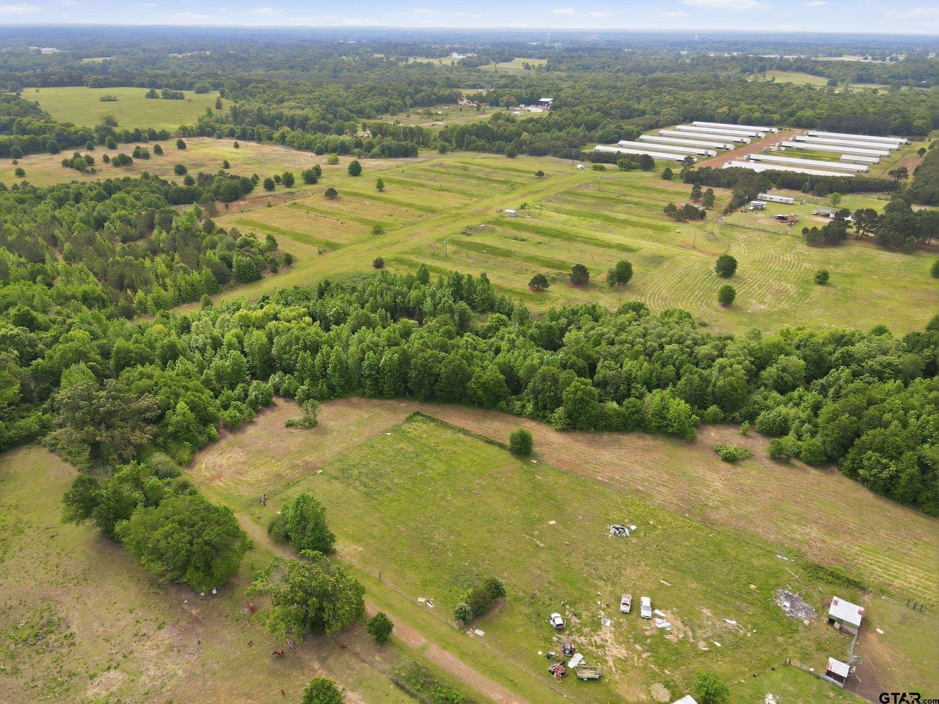80.11 acres in Camp County featured view