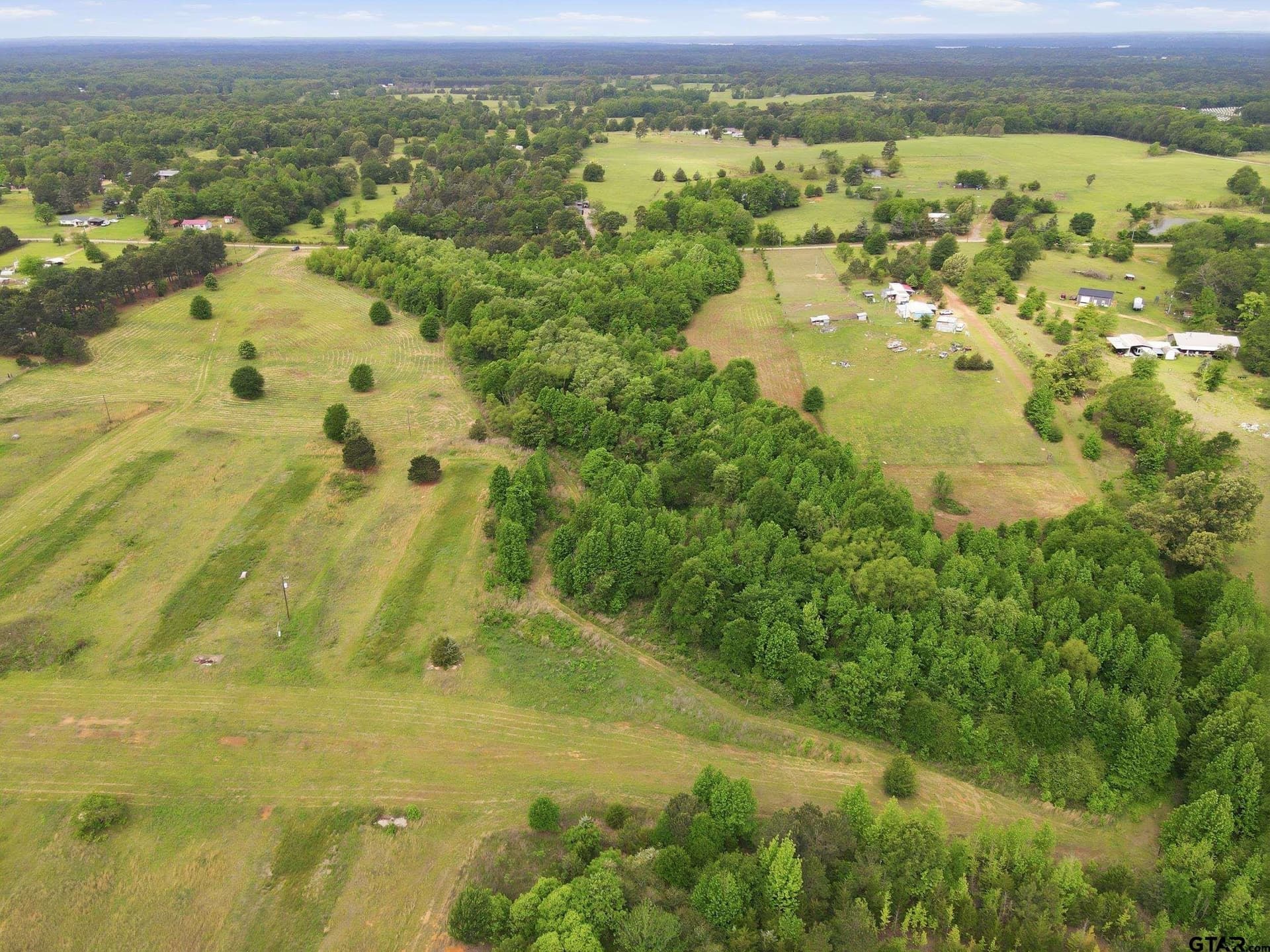 80.11 acres in Camp County gallery image 3