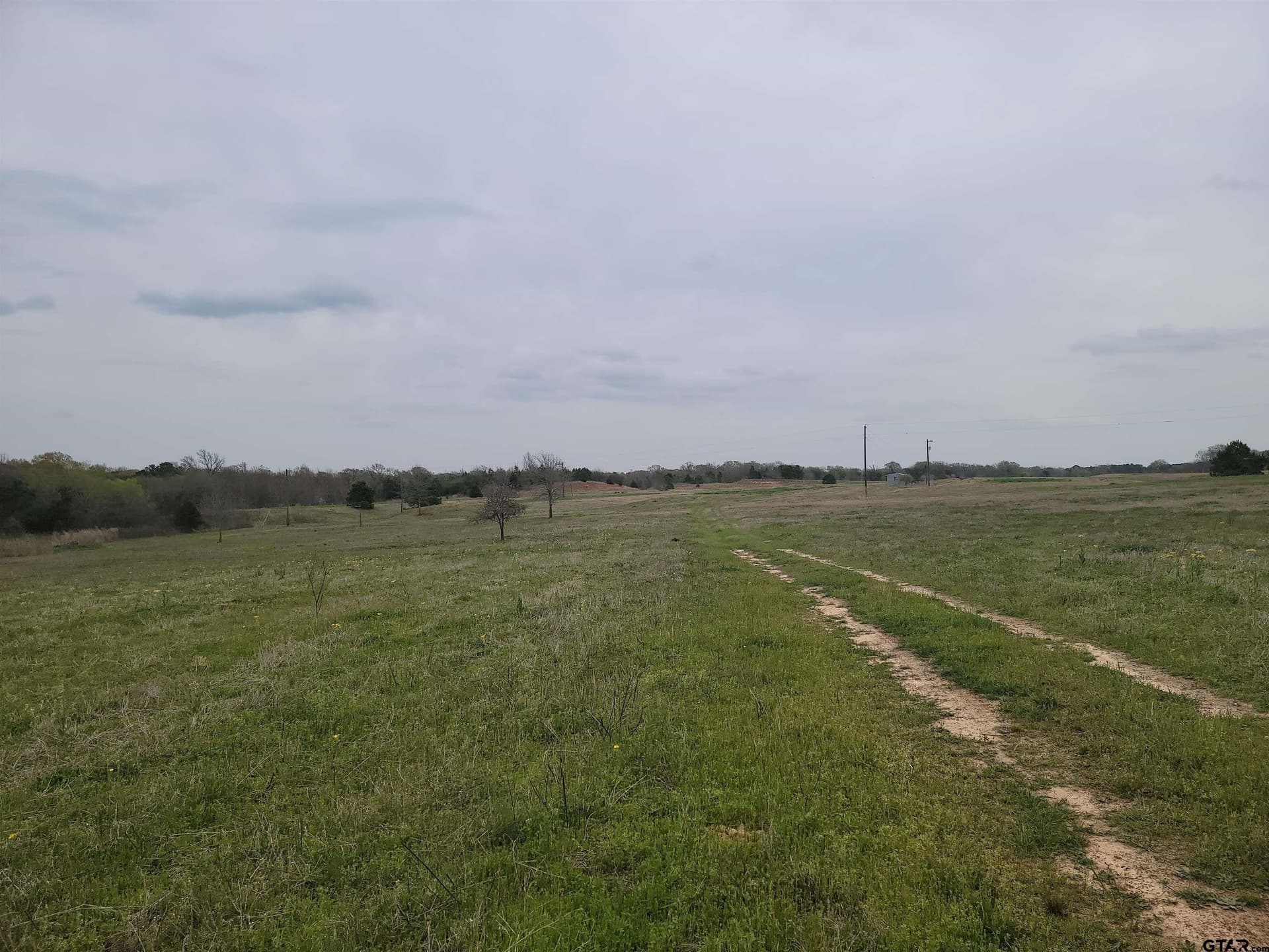 80.11 acres in Camp County