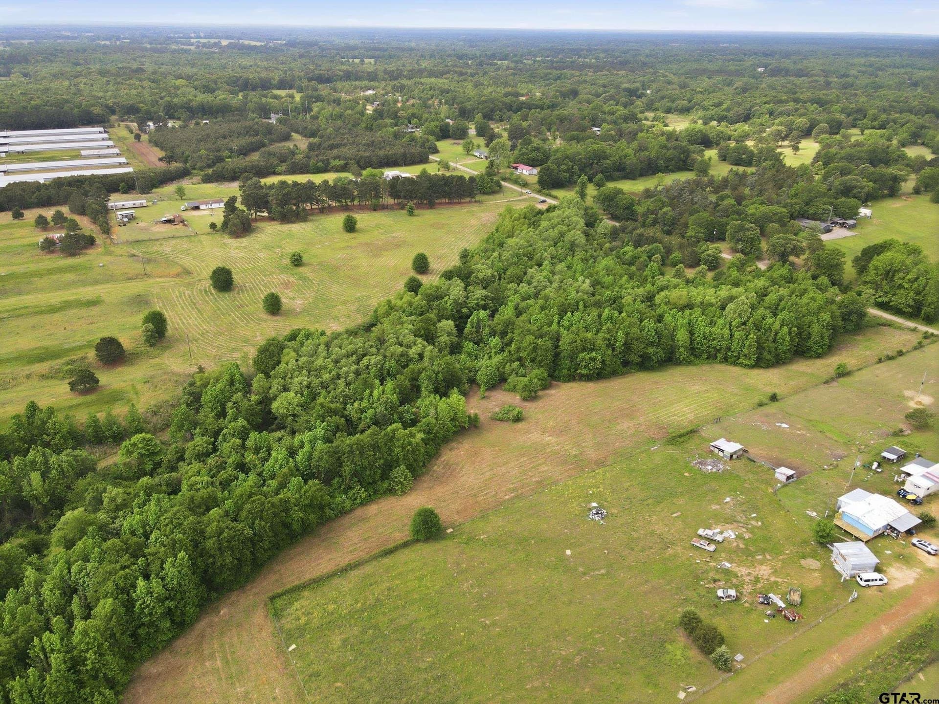 80.11 acres in Camp County gallery image 4