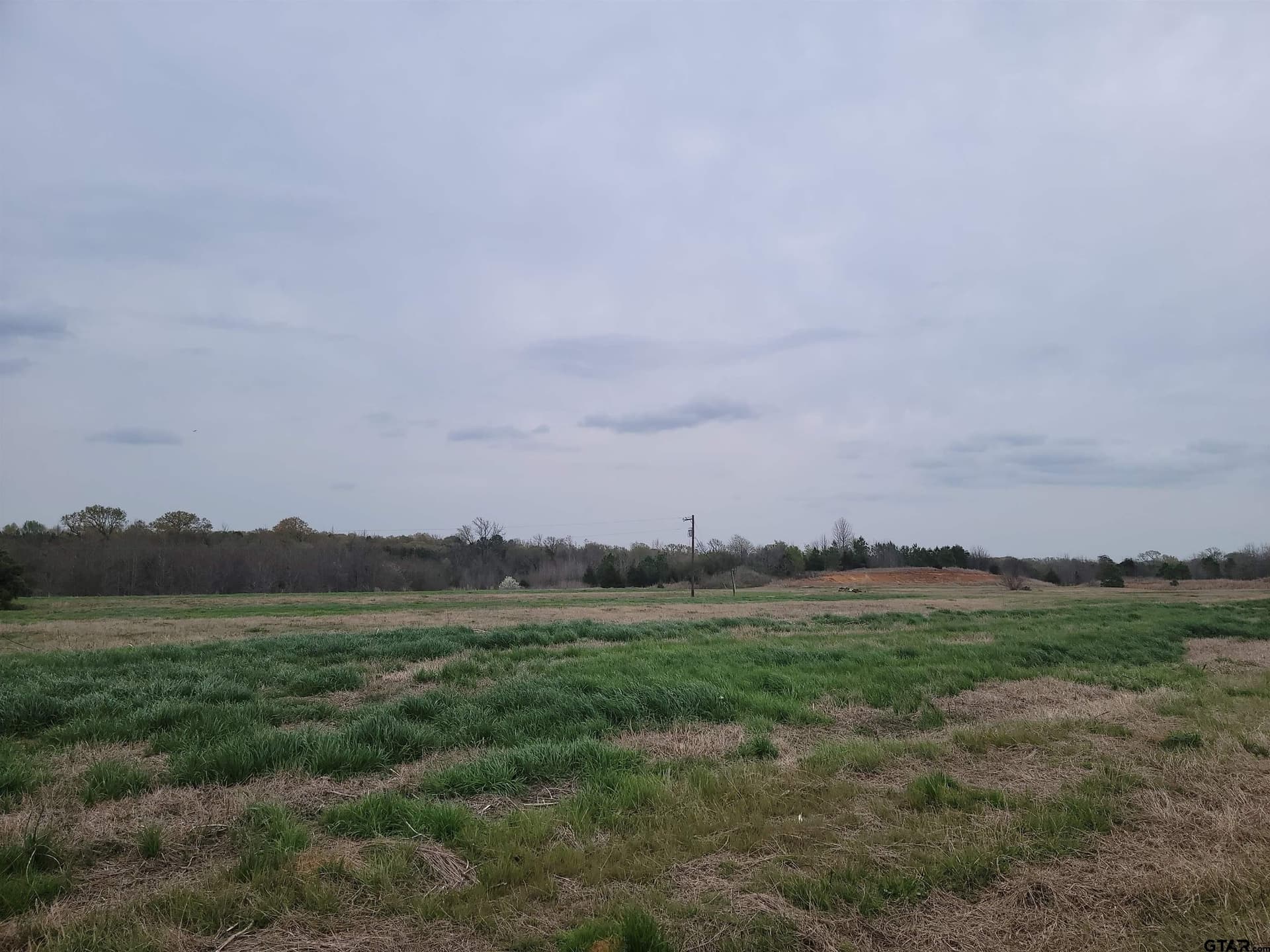 80.11 acres in Camp County featured view