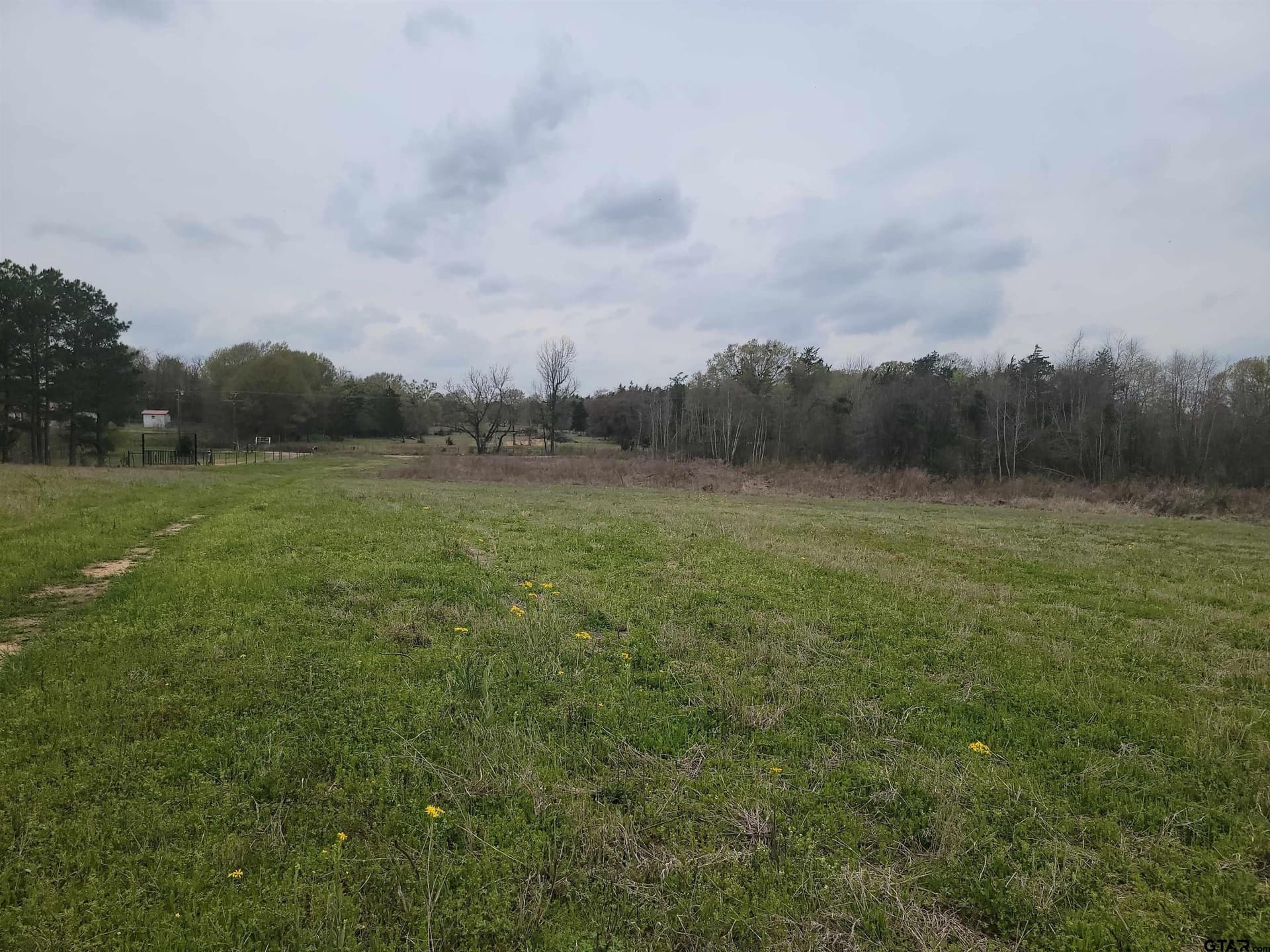 80.11 acres in Camp County gallery image 4