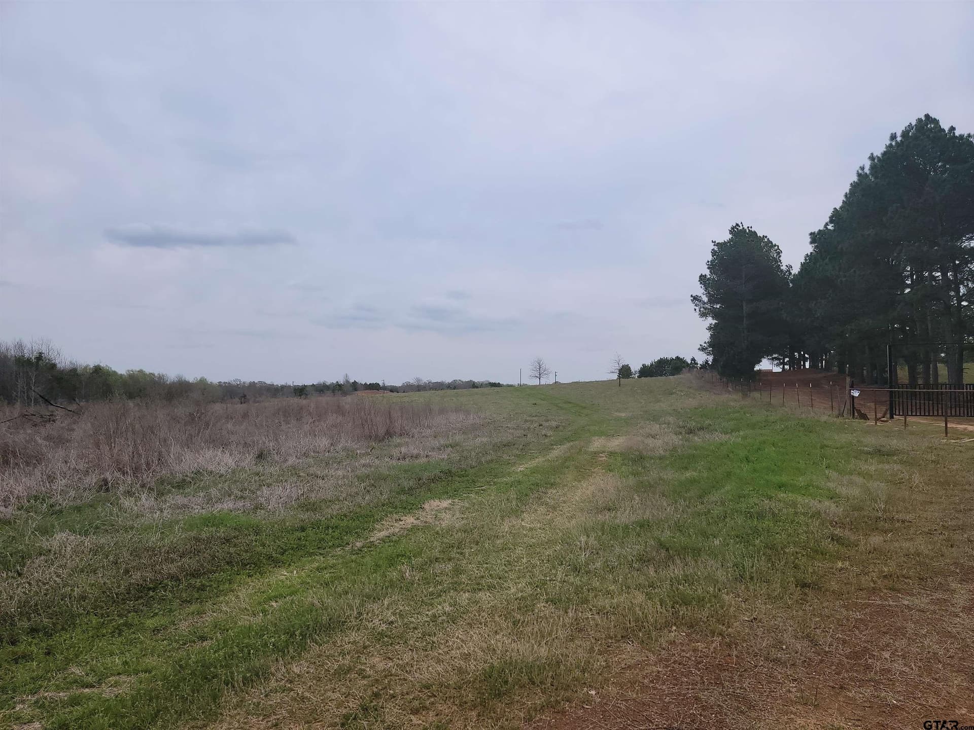 80.11 acres in Camp County gallery image 2