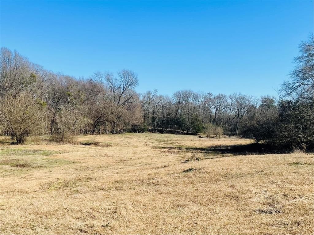 22 acres in Hopkins County gallery image 4