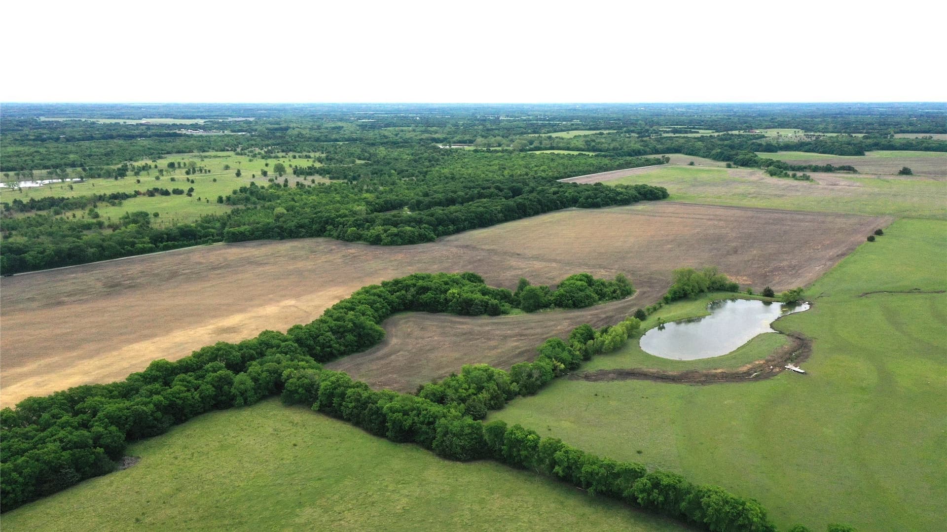 12 acres in Fannin County - photo 8