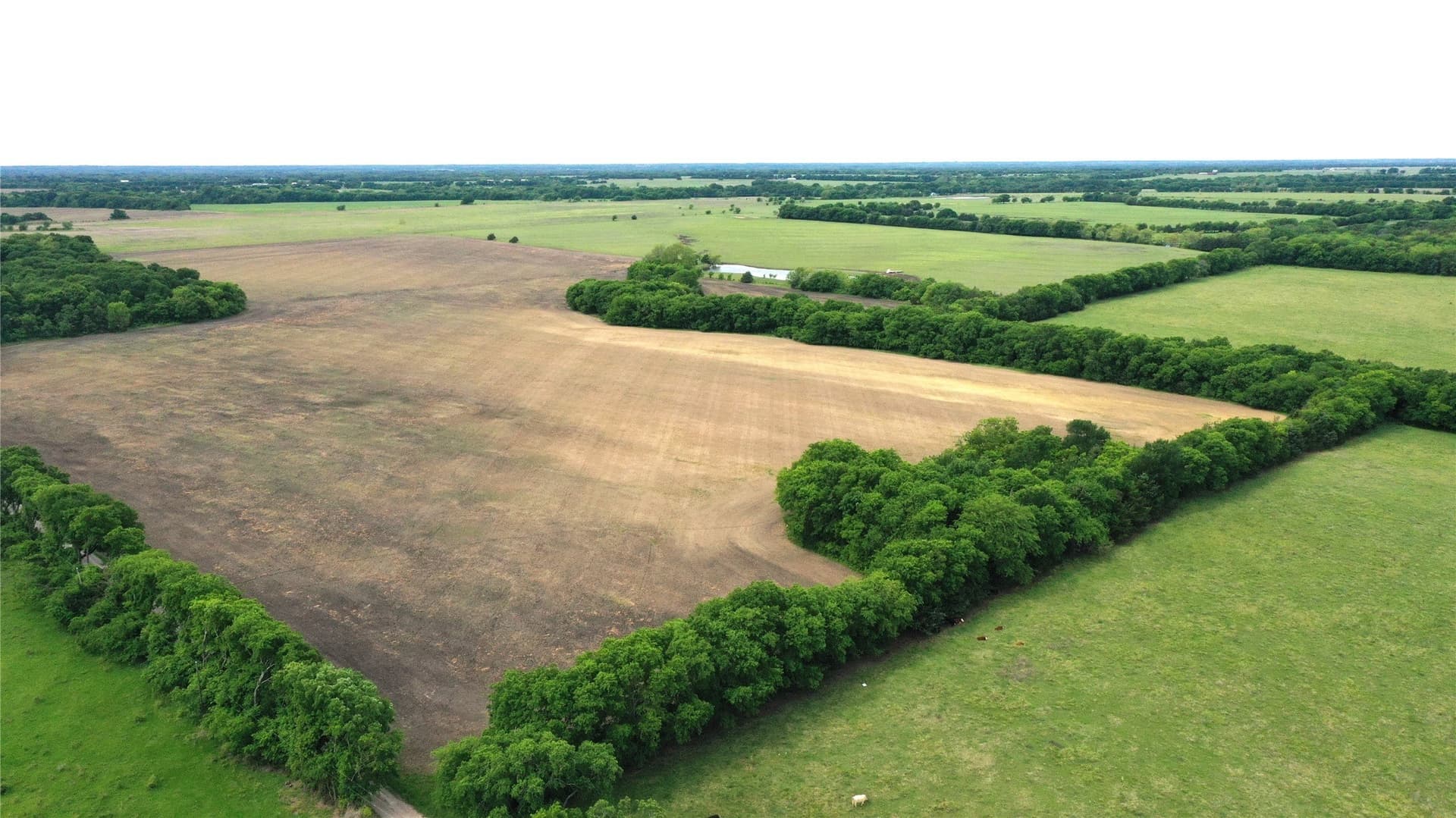 12 acres in Fannin County - photo 13