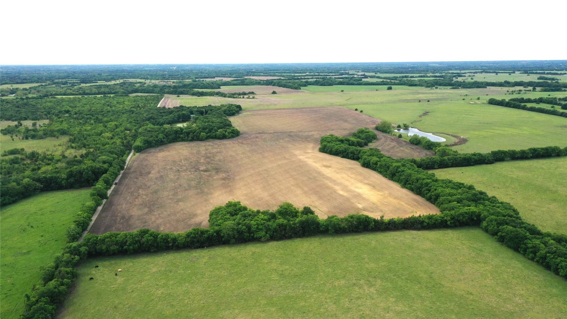 12 acres in Fannin County - photo 10