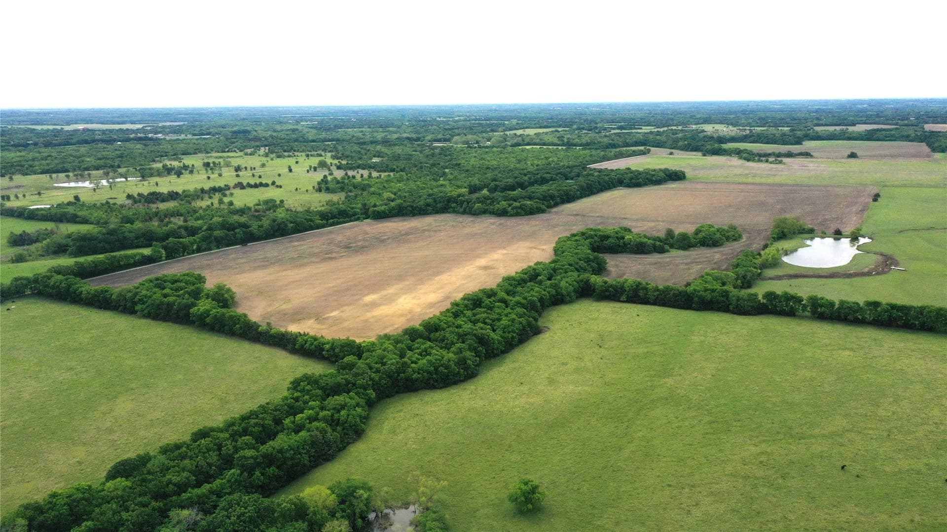 12 acres in Fannin County - photo 14