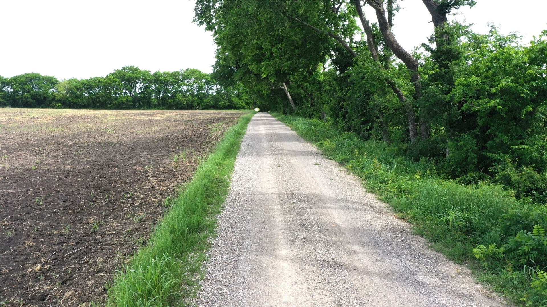 12 acres in Fannin County - photo 11