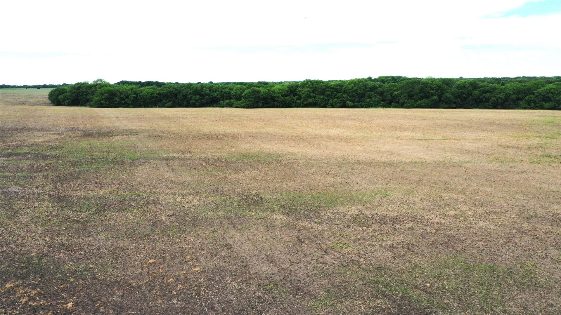 12 acres in Fannin County - photo 16
