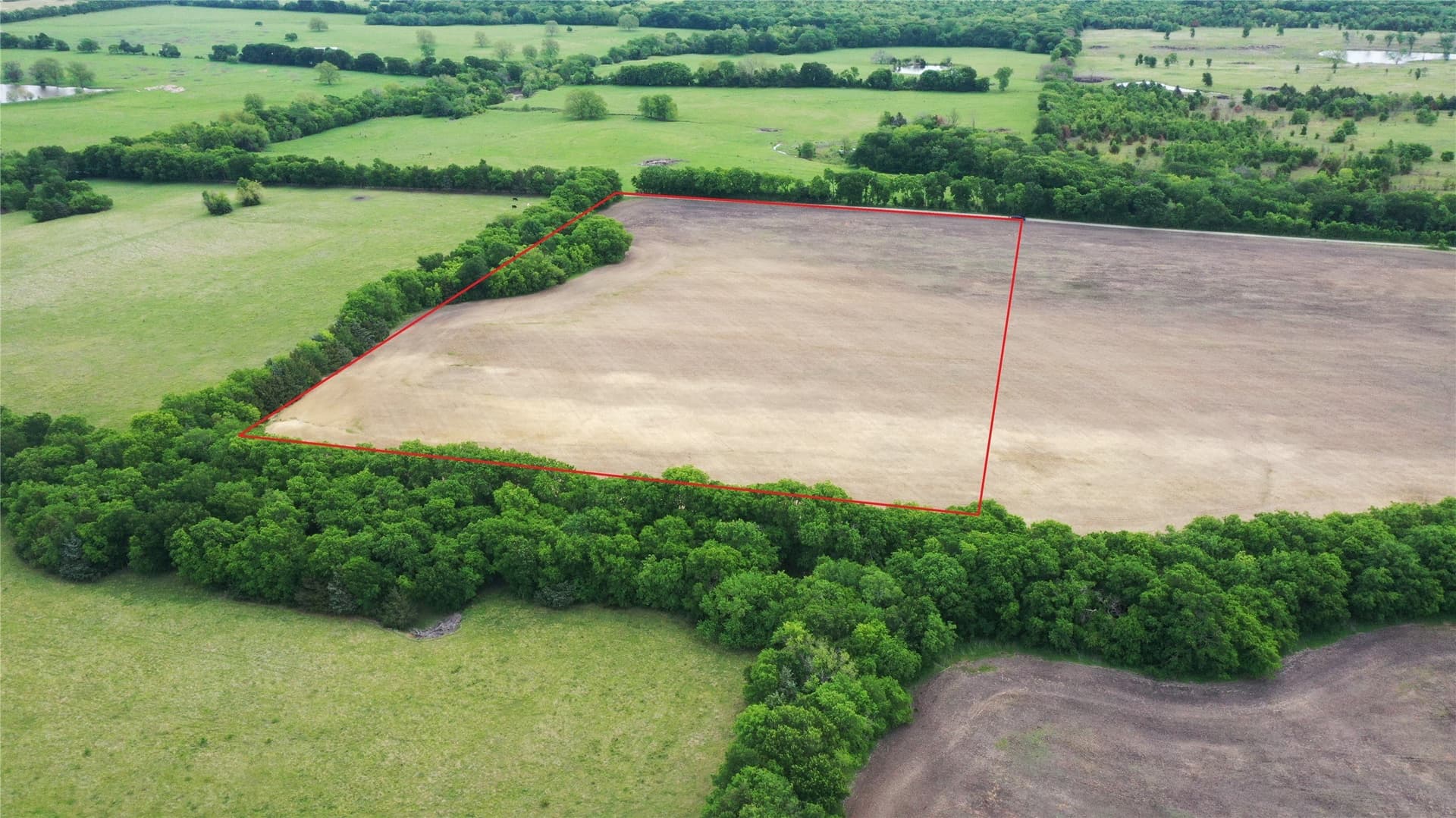 12 acres in Fannin County gallery image 2