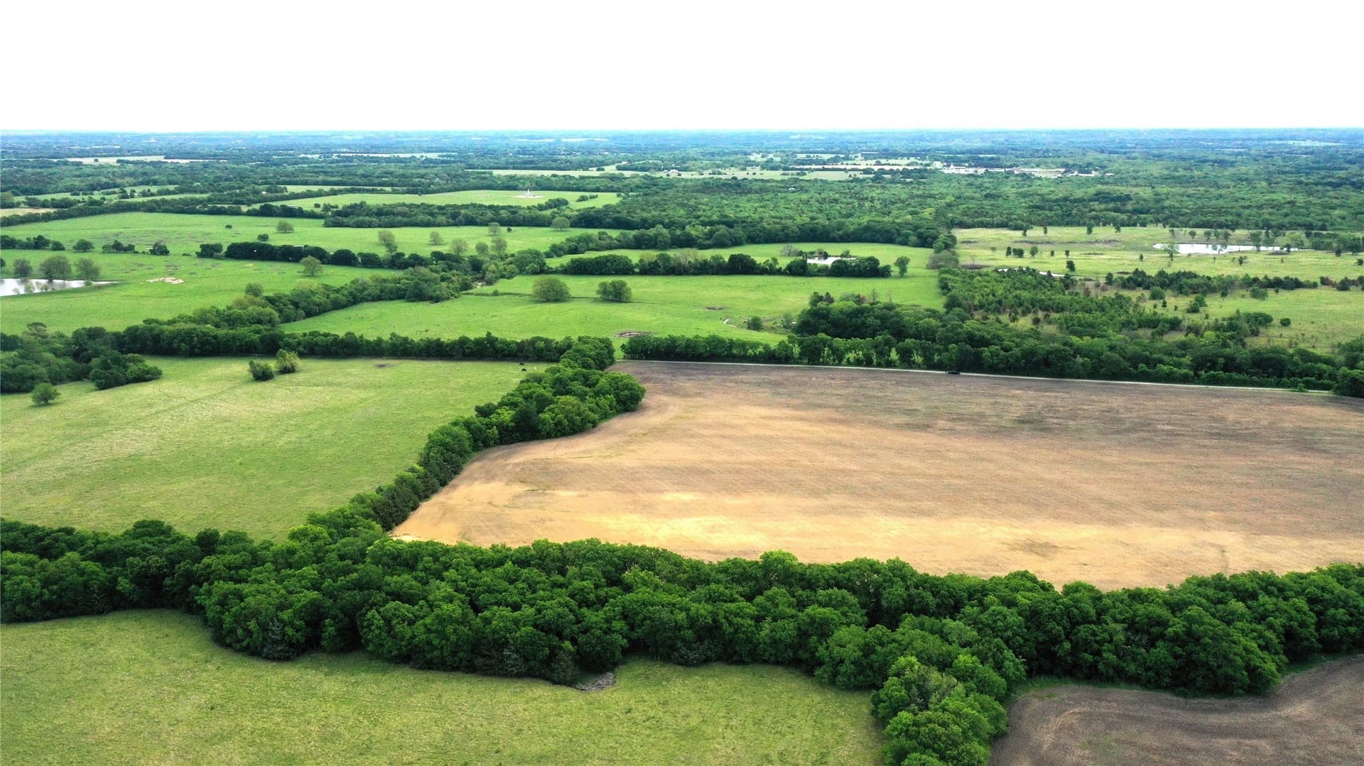 12 acres in Fannin County - photo 6