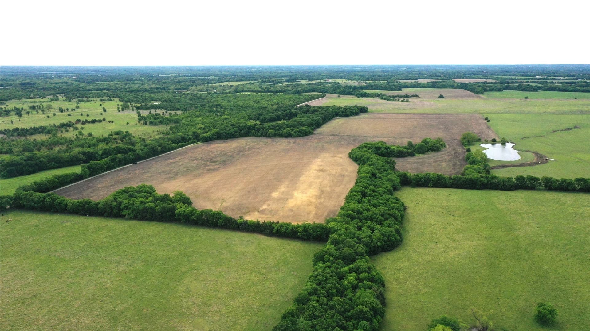 12 acres in Fannin County - photo 9