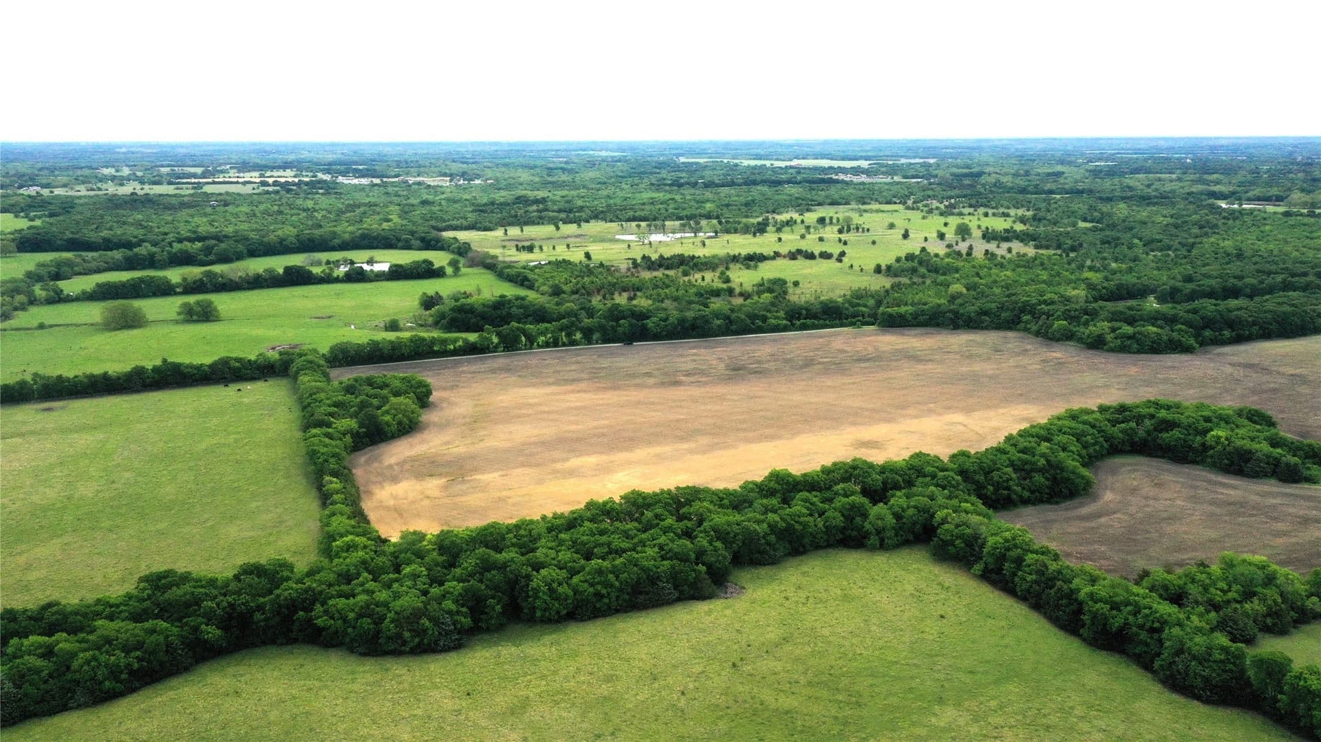 12 acres in Fannin County - photo 7