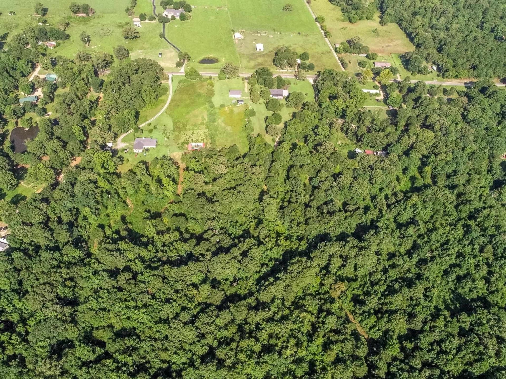 16.21 acres in Upshur County gallery image 4