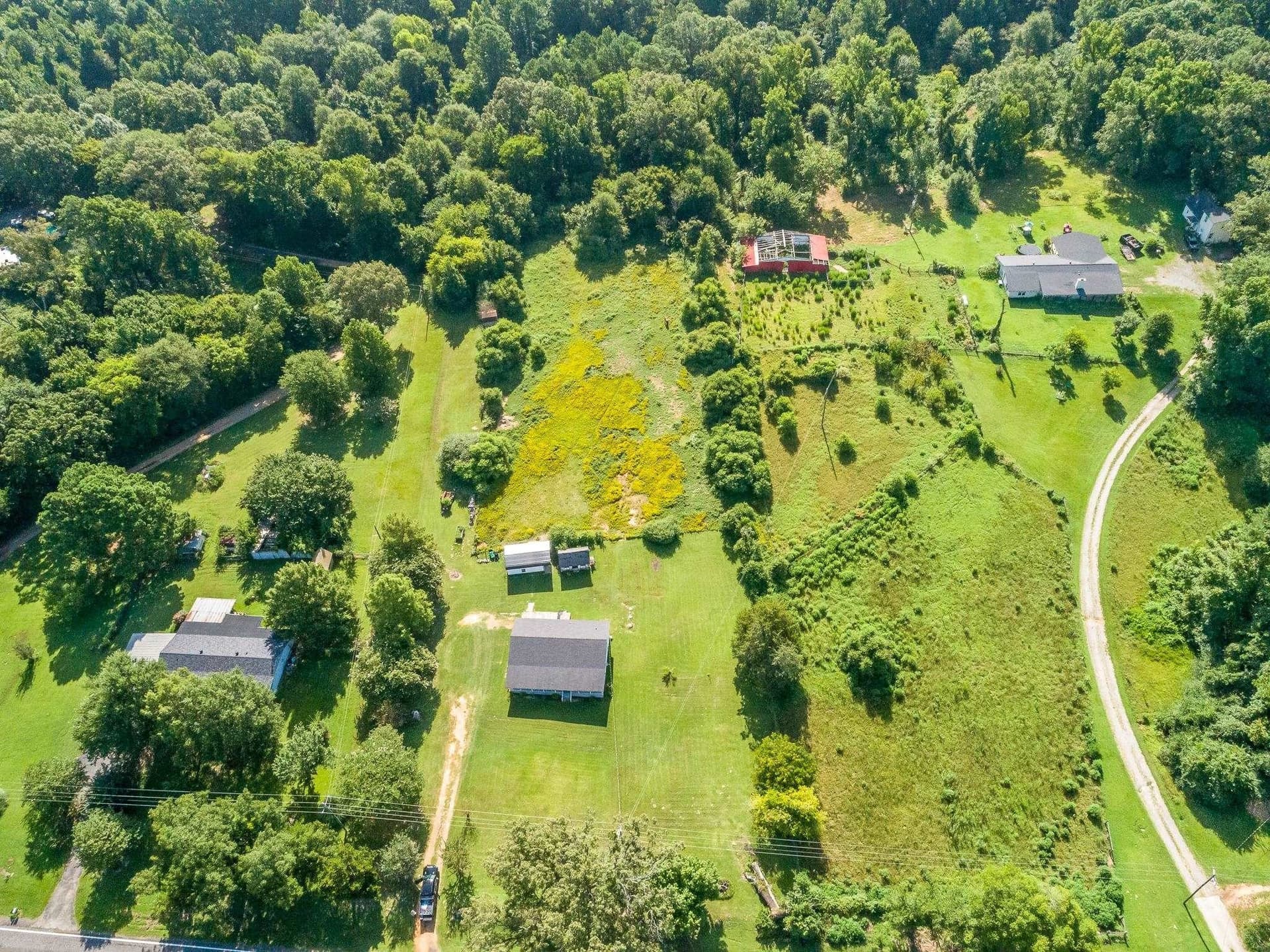 16.21 acres in Upshur County gallery image 3