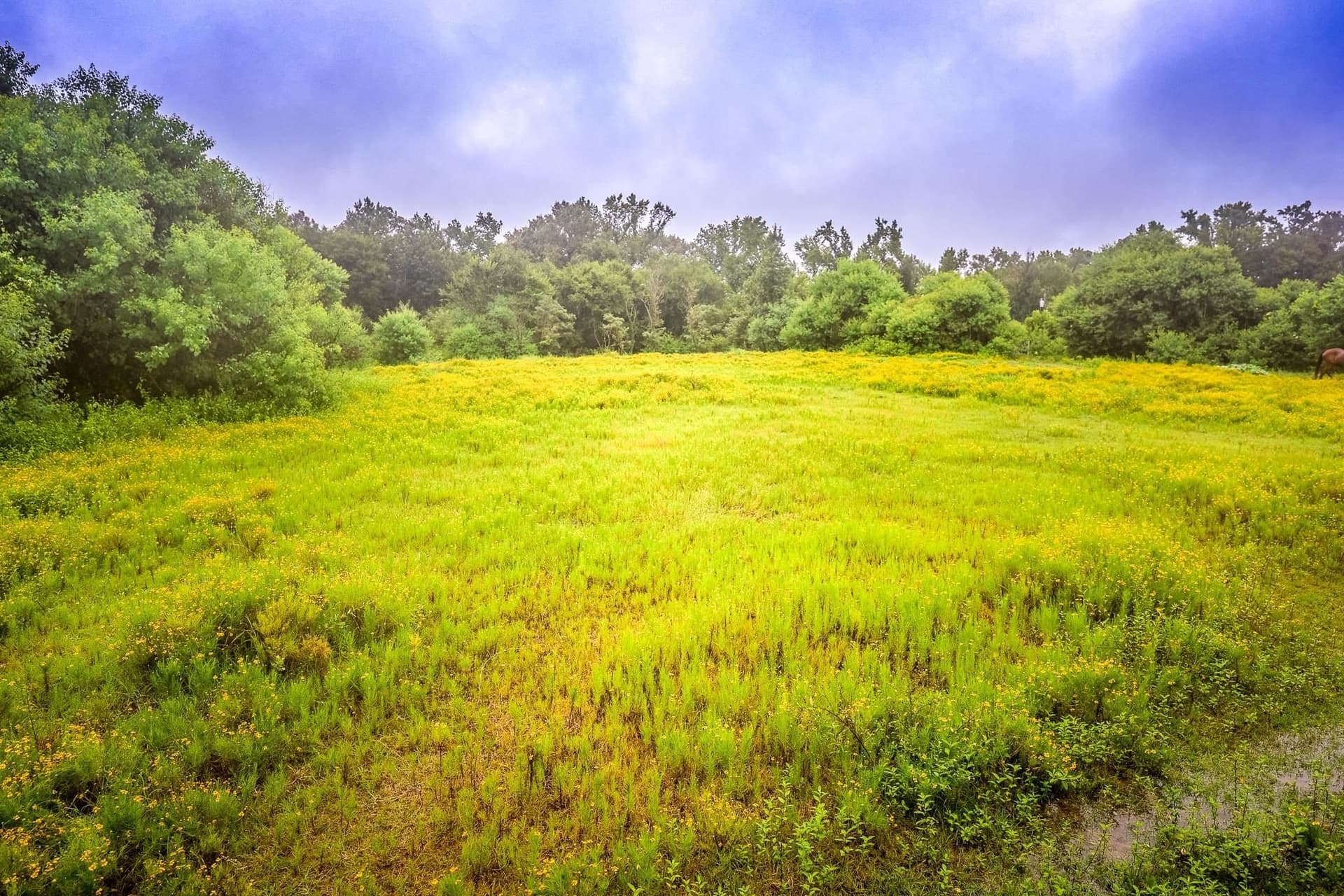 16.21 acres in Upshur County - photo 26