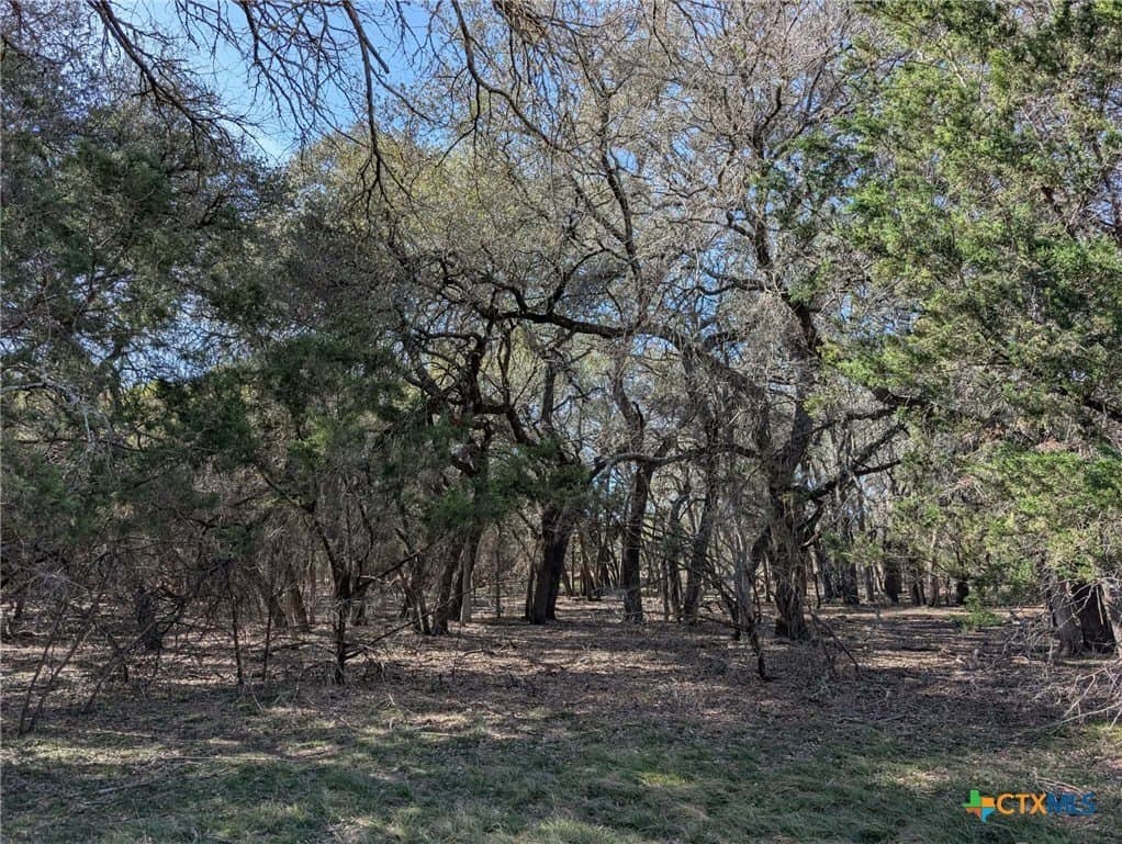 57 acres in Burnet County - photo 7