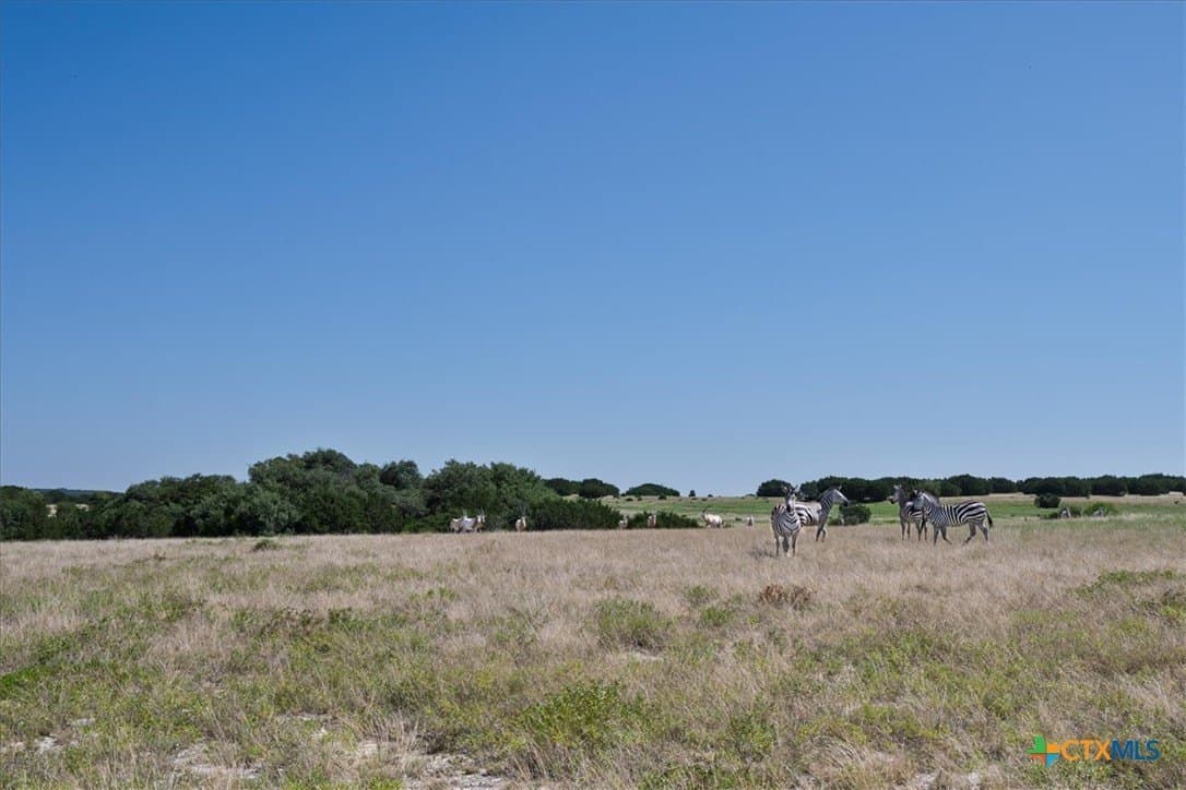 57 acres in Burnet County - photo 22