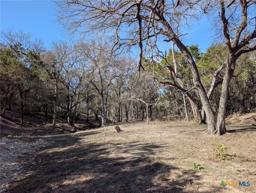 57 acres in Burnet County - photo 8
