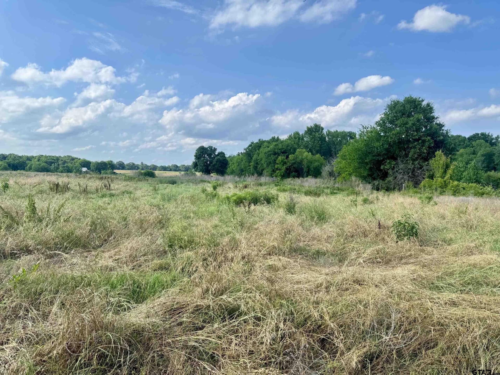 32.35 acres in Wood County - photo 2